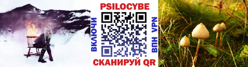Псилоцибиновые грибы ЛСД  Свирск 